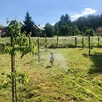 Dom W Dolinie Zdrowia Dom wakacyjny