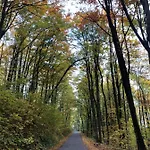 Dom W Dolinie Zdrowia Dom wakacyjny