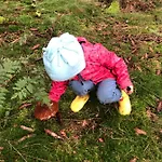 Dom W Dolinie Zdrowia Dom wakacyjny *