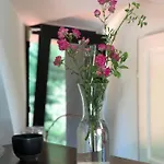 Dom W Dolinie Zdrowia *