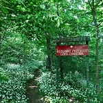 Dom W Dolinie Zdrowia Dom wakacyjny Wlen