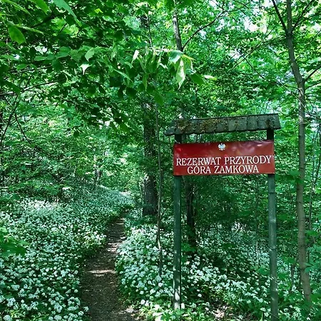 Dom W Dolinie Zdrowia Сasa de vacaciones Wlen