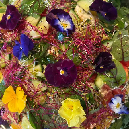 Holiday home Dom W Dolinie Zdrowia Wlen