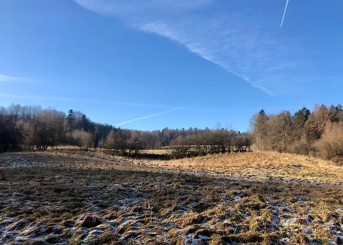 Dom W Dolinie Zdrowia Holiday home Wlen