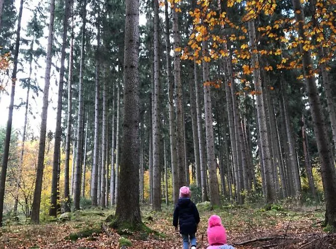 Holiday home Dom W Dolinie Zdrowia *