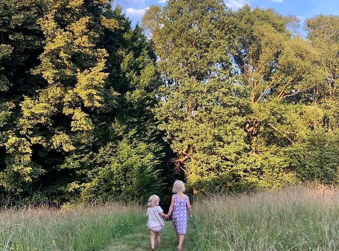 Dom W Dolinie Zdrowia * Wlen