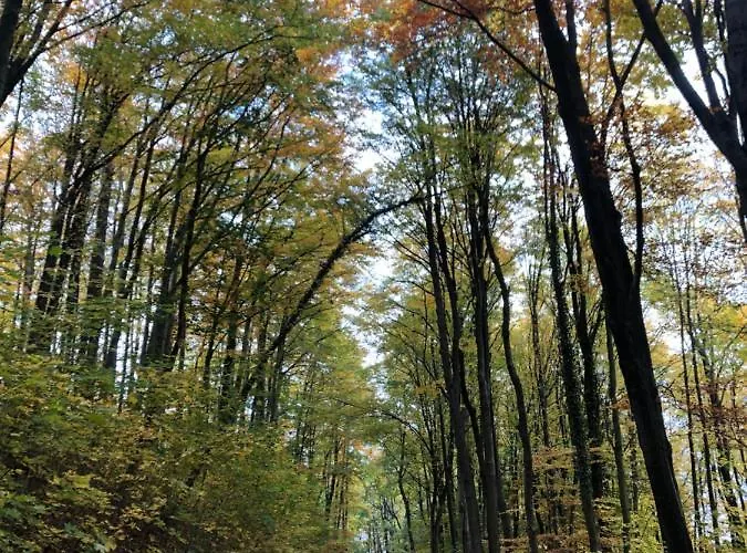 Dom W Dolinie Zdrowia Holiday home