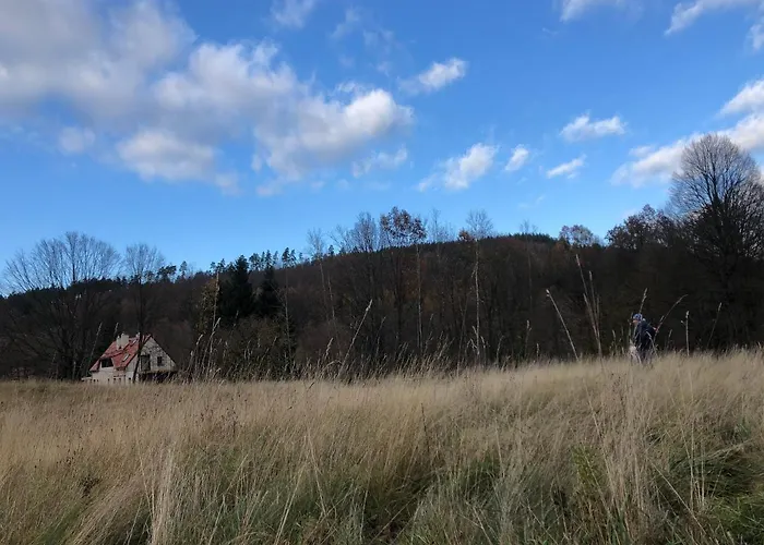 Dom W Dolinie Zdrowia Holiday home Wlen