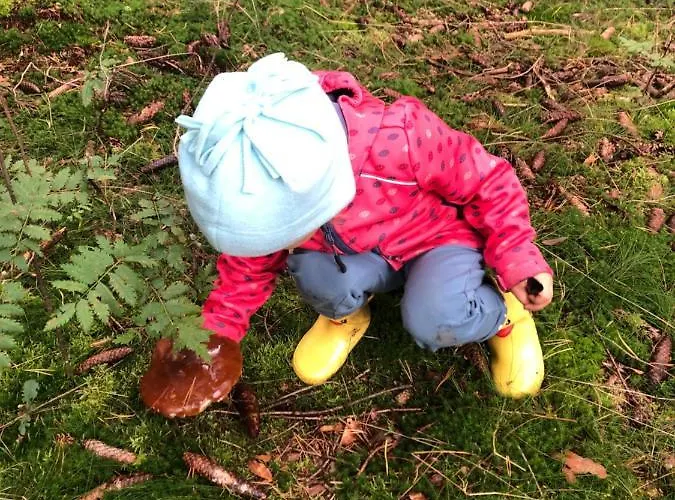 Dom W Dolinie Zdrowia Holiday home *