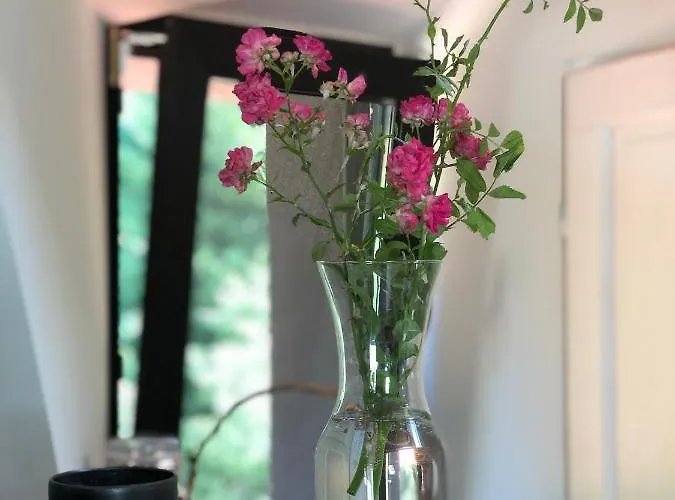 Dom W Dolinie Zdrowia *