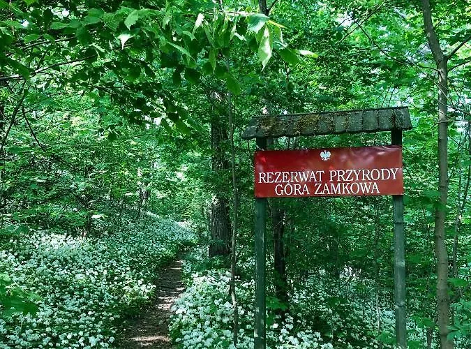 Dom W Dolinie Zdrowia Holiday home Wlen