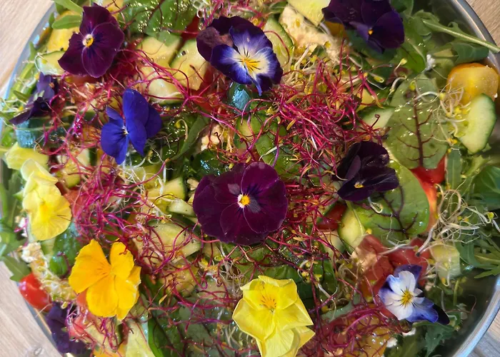 Holiday home Dom W Dolinie Zdrowia Wlen